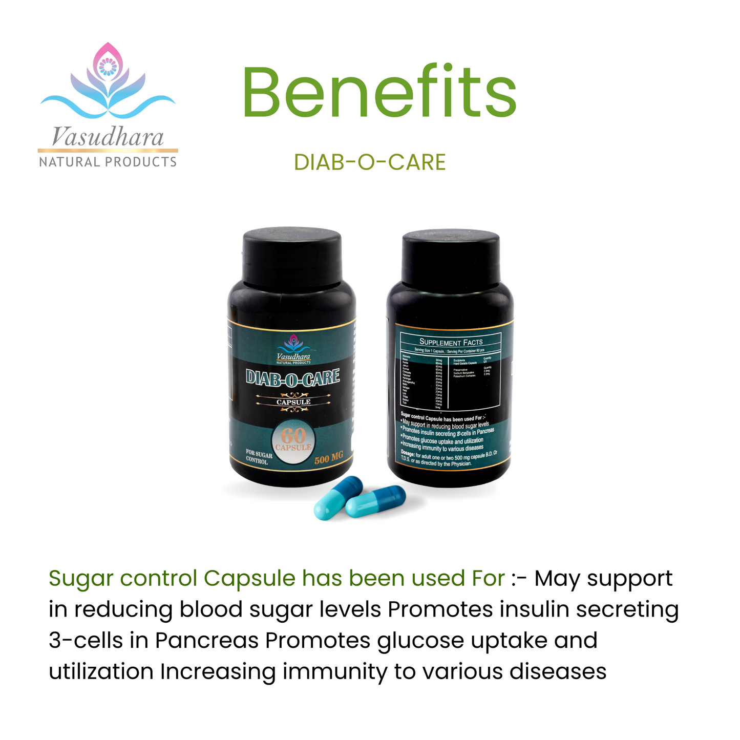 Diab-O-Care Capsules Natural Blood Sugar Support